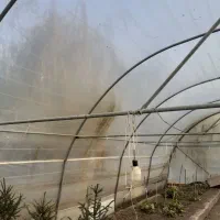 لوله کامل ۳۰۰متر گلخانه با پلاستیک سالم|مصالح و تجهیزات ساختمان|سرعین, |دیوار