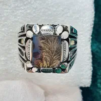 شجر تک درخت