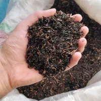 چای ساقه قوی (فروش از یک‌ گونی به بالا ۵۵ تومان)|خوردنی و آشامیدنی|رشت, یخسازی|دیوار