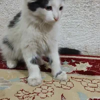 کمبود جا