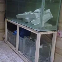 اکواریم