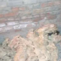 پشم گوسفندی