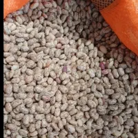 لوبیا چتی ارتشی خوش پخت
