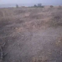 خرید و برش انواع چوب باغی|خدمات باغبانی و درختکاری|هشتگرد, شهرک گلها|دیوار