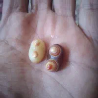 دوتا خرزه انگشتر نیومده قدیمی