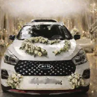 ماشین عروس ، اجاره ماشین