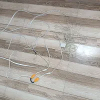 ریسه رنگی|ریسه و چراغ تزئینی|پاکدشت, پاکدشت (مامازند)|دیوار