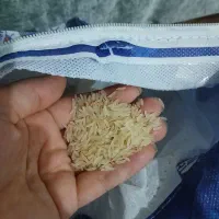 برنج کشتی نشان|خوردنی و آشامیدنی|مشهد, نوده|دیوار