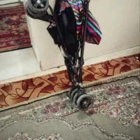 کالسکه عصایی