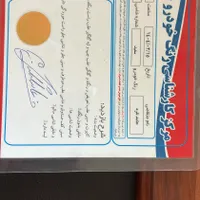 پژو پارس LX TU5، مدل ۱۳۹۵ سیمی|خودرو سواری و وانت|تهران, تهرانپارس غربی|دیوار
