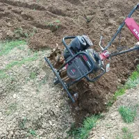 تیلر کرایه شخم زدن زمین و باغات