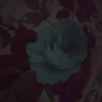 کارت سوخت خودرو گم شده