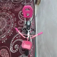 دوچرخه ونخل بریحی دارم|دوچرخه، اسکیت، اسکوتر|شادگان, |دیوار