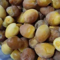 رطب و خرمای جنوب درجه یک