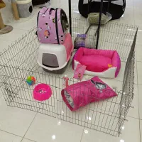 پارک باکس اسکرچر جای خواب لباس قلاده سگ گربه