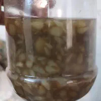 ترشی گل سیر دون شده|خوردنی و آشامیدنی|اصفهان, شاهزید|دیوار