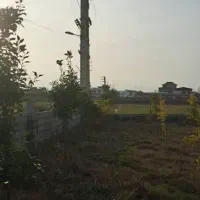 220-متر-زمین-سرمایه-گذاری-سند-دار-انشعابات-کامل