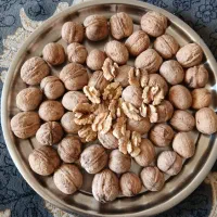 گردو سپیدان