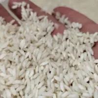 برنج نیم دانه عنبر خالص و سالم عنبر|خوردنی و آشامیدنی|کارون, |دیوار