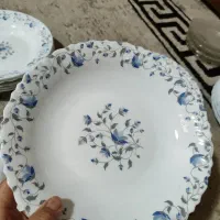 آرکوپال اماراتی|ظروف سرو و پذیرایی|اصفهان, ملاصدرا|دیوار