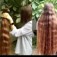 خ و صادر کننده موی طبیعی