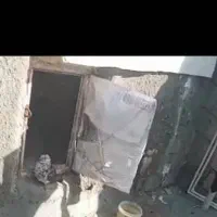 کفتر گم شده|حیوانات|اسلام‌‌آباد غرب, |دیوار