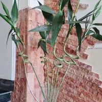 یک سری وسایل منزل ب فروش میرسد|لوستر و چراغ آویز|کوهدشت, |دیوار