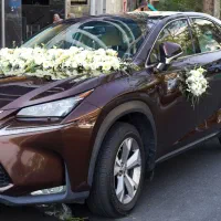 سفارشات ماشین عروس کد ۱۳۹۱ گلاریس