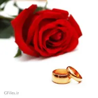 تشریفات ،پیوند آسان ، ازدواج آسان (کمیل)