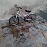 دوچرخه سالم ۱۲