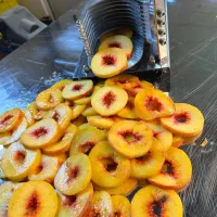 اسلایسر کشویی دستی و پنوماتیک