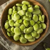 باقلا سبز و تازه