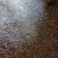 یونجه قالبی و خرمنکوب شده چین چهار پر گل|عمدهفروشی|صحنه, |دیوار