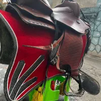 زین اسب|اسب و تجهیزات اسب‌سواری|فشم, |دیوار