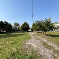 ۲۵۰ متر زمین شهرکی/ تاپ لوکیشن/ کوهپایه جنگلی|فروش زمین و ملک کلنگی|چمستان, |دیوار