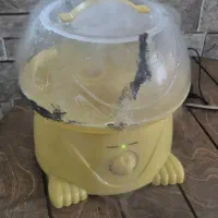 بخورسرد