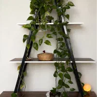 شلف آهنی و چوبی