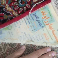 فرش۱۲ متری راوند|فرش|رباط‌کریم, رباط‌کریم|دیوار