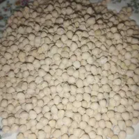 نخود و لپه نو محلی درجه یک