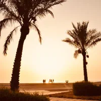 گشت طبیعت گردی جزیره(گردش نیمروزی)