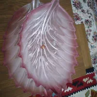 میوه خوری آلمانی