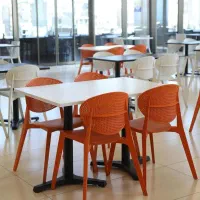 صندلی های برند نظری|کافی‌شاپ و رستوران|رشت, بازار|دیوار