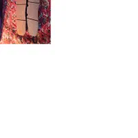 وسایل ماشین سنگین|قطعات یدکی و لوازم جانبی|اهواز, گلستان|دیوار