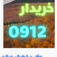 خریدار سیمکارت ۰۹۱۲