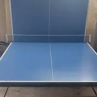 میز پینگ پنگ