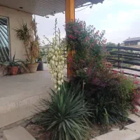 اجاره-روزانه-ویلا-بدون-استخر-نظافت-و-امنیت-تکمیل