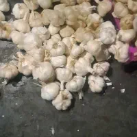 سیردرجه ۱سردخانه ای|خوردنی و آشامیدنی|شهریار, شهریار|دیوار