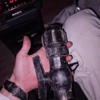 کبوتر|خزنده|جوکار, |دیوار