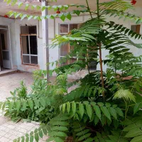 110-متر-ویلایی-دو-طبقه-امام-رضا-قیمت-استثنایی