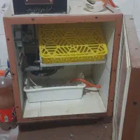 دستگاه جوجه کشی اتومات ۴۲تایی پرهام